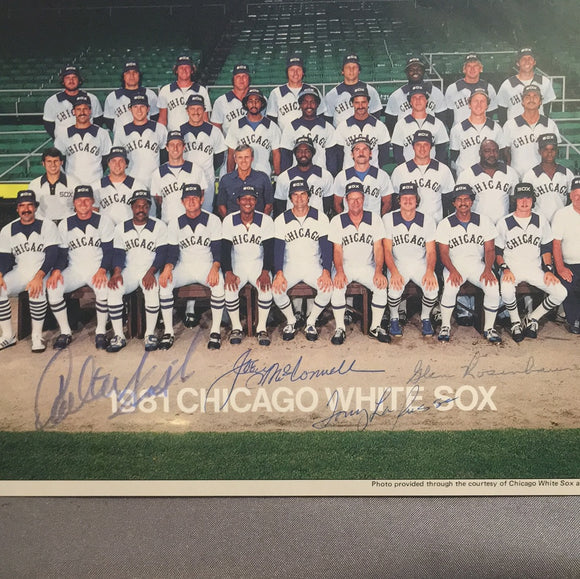 1981 Chicago White Sox autographed 8x10 color photo signed by Carlton – LW  Sports