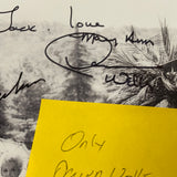 Dawn Wells autographed Gilligans Island photo JSA certified